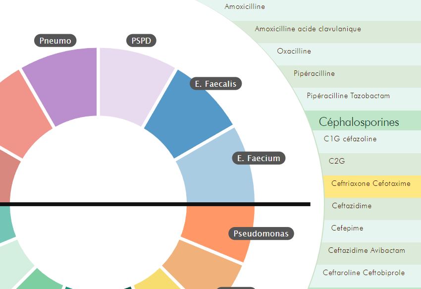 visuel apprentissage