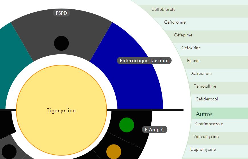 visuel test